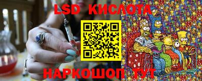 гашик Дубна