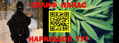 гашик Дубна