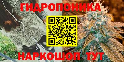гашик Дубна