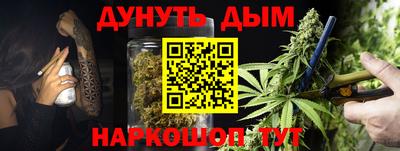 гашик Дубна