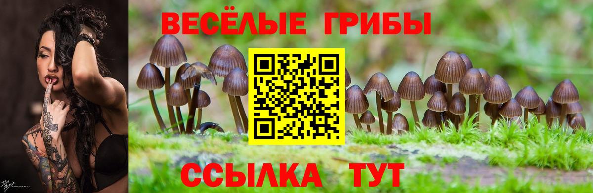 Галлюциногенные грибы мухоморы  Вход с VPN  Кудрово  Псилоцибиновые грибы Psilocybine cubensis 